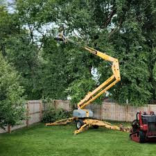 Lawn Grading and Leveling in Cortez, FL